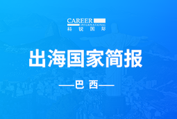 EbpayGO GLOBAL | 巴西国家简报